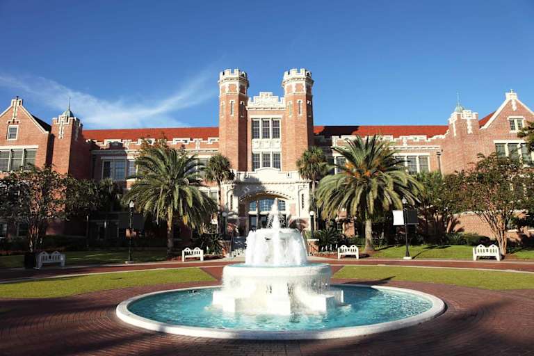 Learn How To Become a Licensed Social Worker in FL