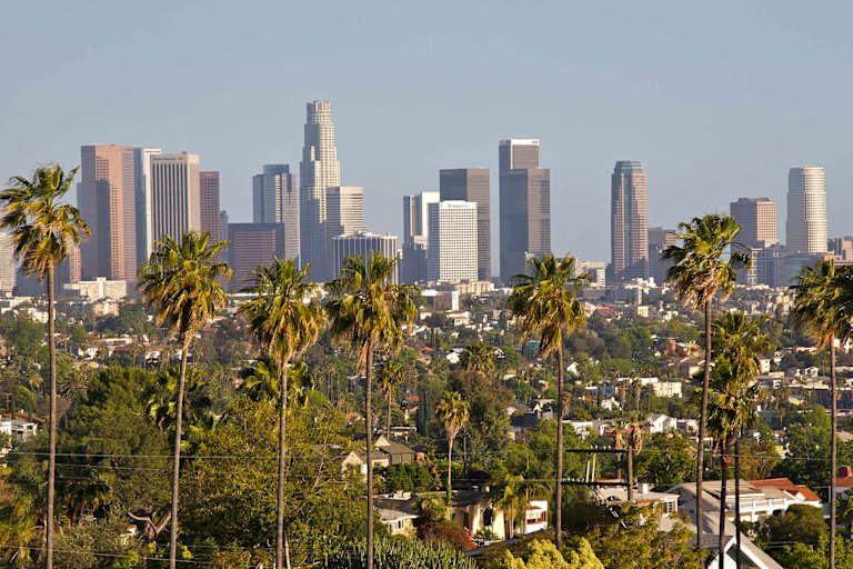 Los Angeles skyline with palm trees